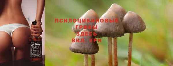 прущая мука Баксан